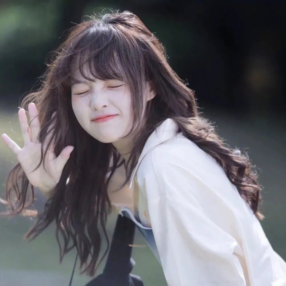 欢乐树的朋友们